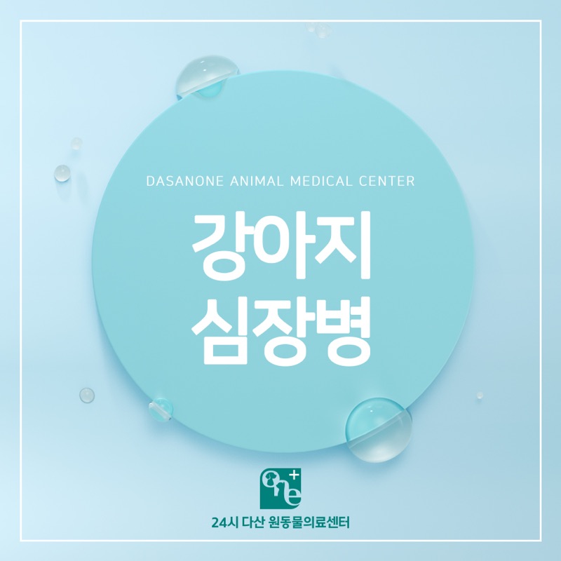 강아지 심장병, 이첨판 폐쇄부전증
