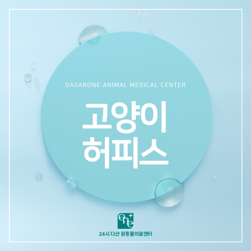 재채기 하는 고양이, 허피스 바이러스