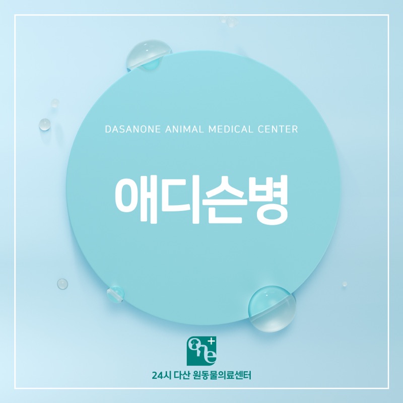 증상이 모호해 더 위험한 부신피질기능저하증, 강아지 애디슨병